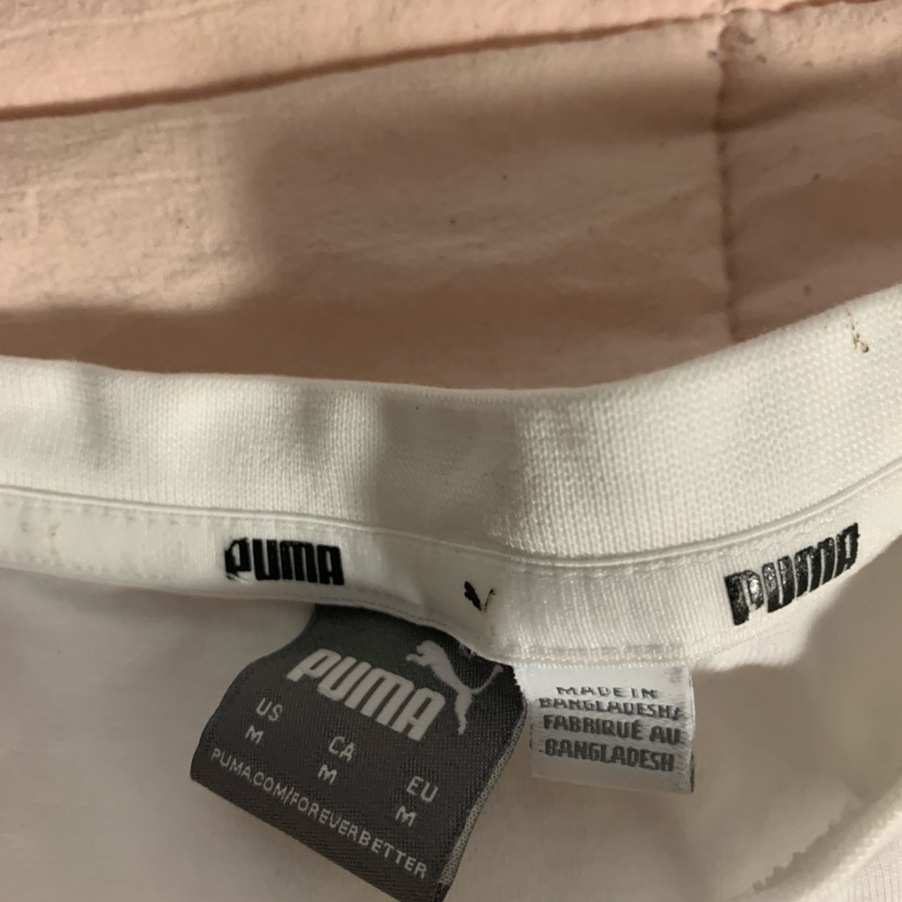Puma crop - Picture 2 of 2